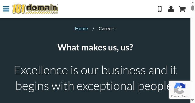 Screenshot of 101domain.jobs