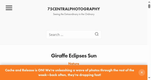 Screenshot of 75centralphotography.com