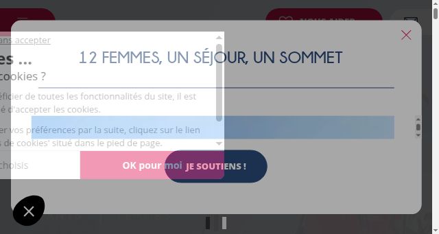 Screenshot of achacunsoneverest.com