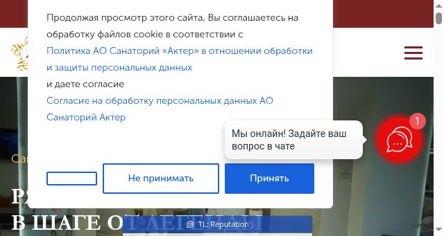 Screenshot of acter-sochi.ru