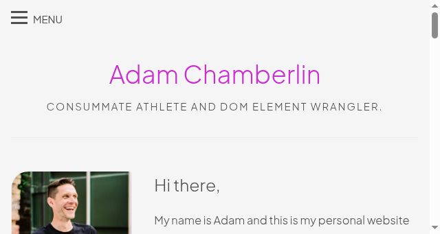 Screenshot of adamchamberlin.info