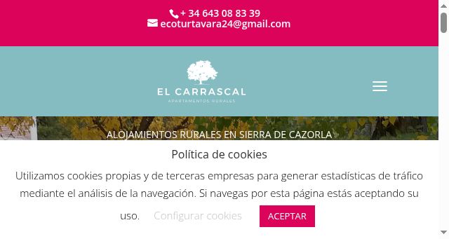 Screenshot of alojamientoselcarrascal.com