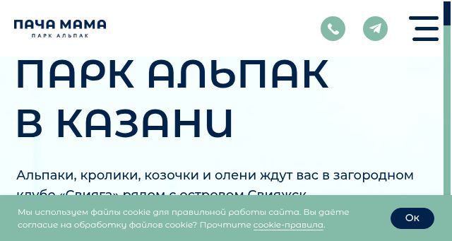Screenshot of alpakakzn.ru