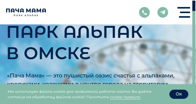 Screenshot of alpakaomsk.ru