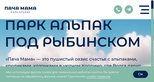 Screenshot of alpakoprino.ru