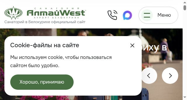 Screenshot of altai-west.ru