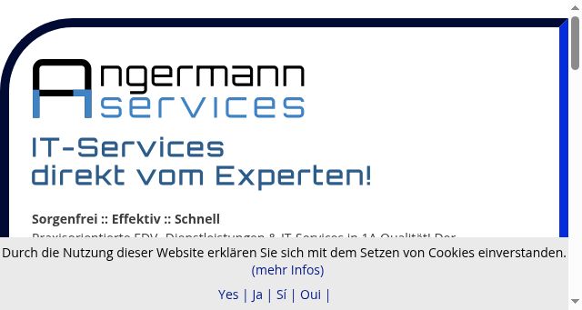 Screenshot of angermann.at