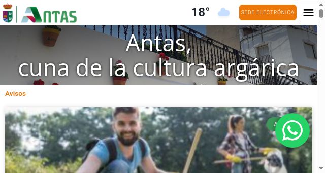 Screenshot of antas.es
