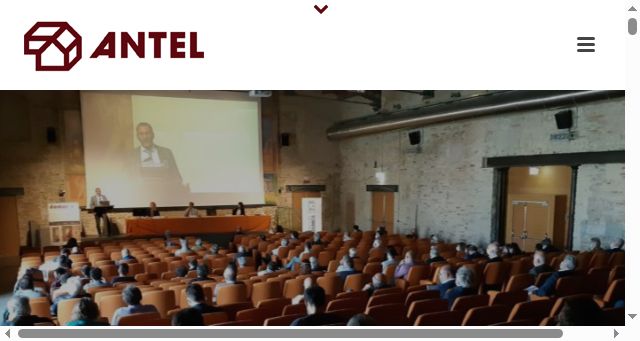 Screenshot of antelitalia.com