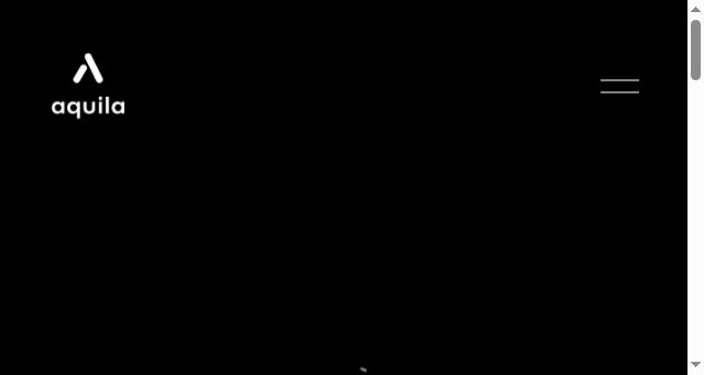 Screenshot of aquilasw.net