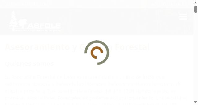Screenshot of asfole.com