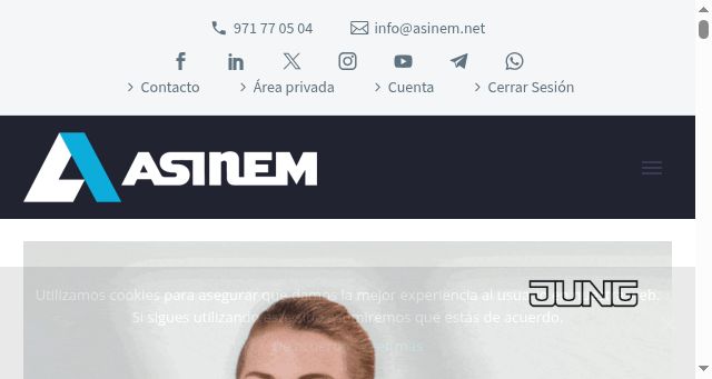 Screenshot of asinem.net