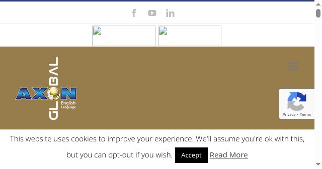 Screenshot of axonglobal.gr