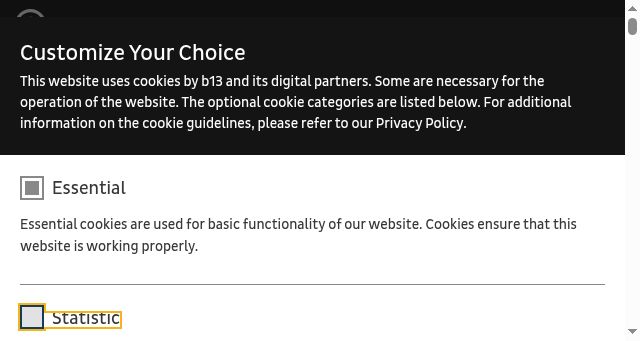 Screenshot of b13.com