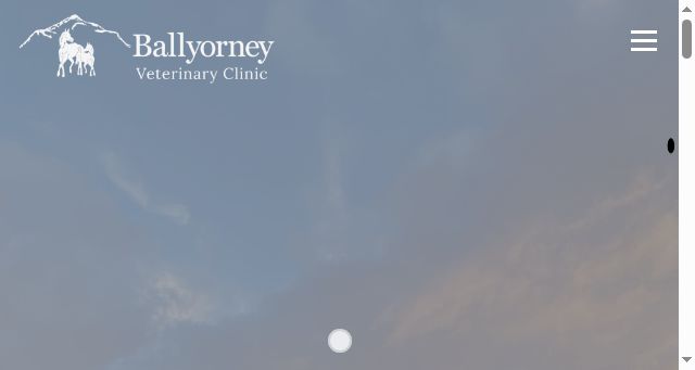 Screenshot of ballyorneyveterinaryclinic.ie
