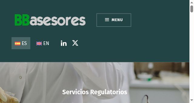 Screenshot of bbasesores.com