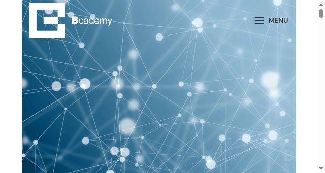 Screenshot of bcademy.it