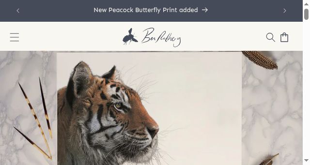 Screenshot of benrotheryillustrator.co.uk