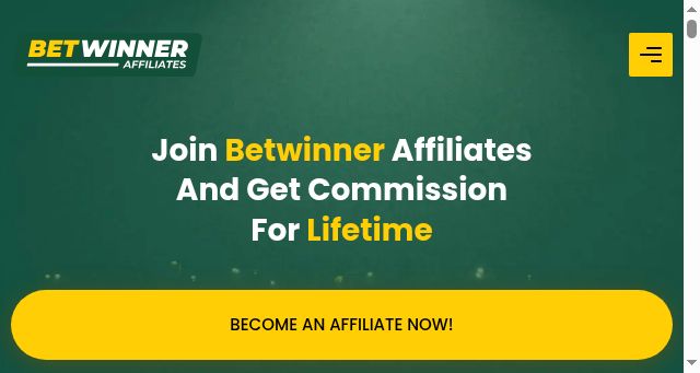 Screenshot of betwinnerpartner.net