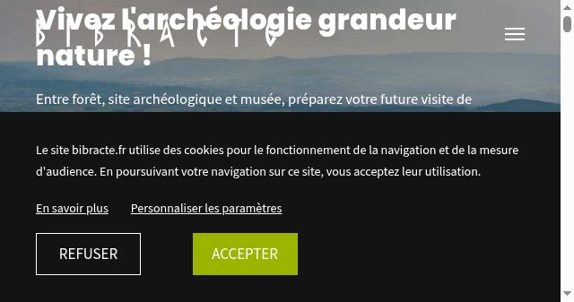 Screenshot of bibracte.fr