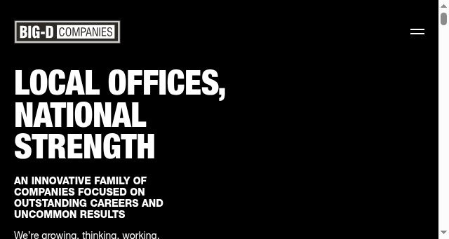 Screenshot of bigdcompanies.com