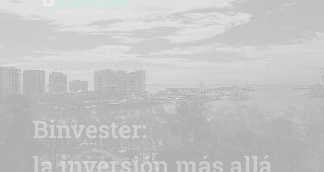 Screenshot of binvester.com