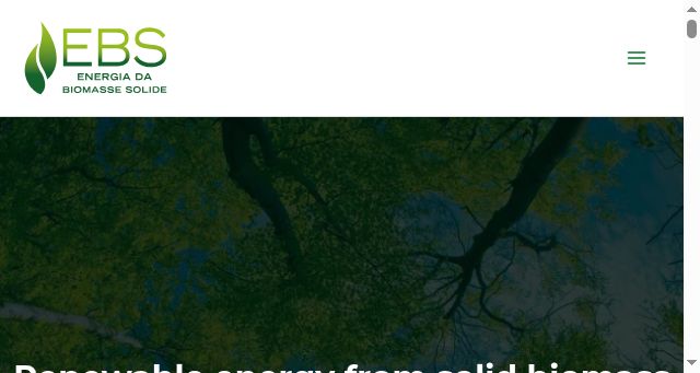 Screenshot of biomasseenergia.eu