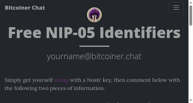 Screenshot of bitcoiner.chat