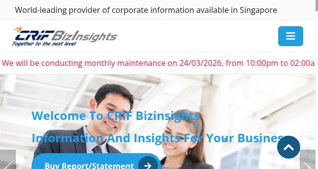 Screenshot of bizinsights.net