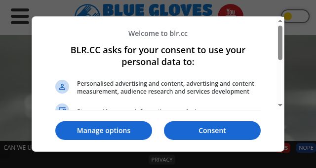 Screenshot of blr.cc