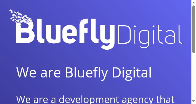 Screenshot of bluefly.digital