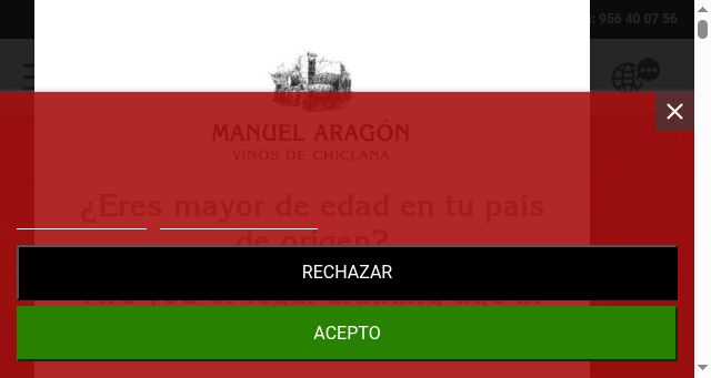 Screenshot of bodegamanuelaragon.com