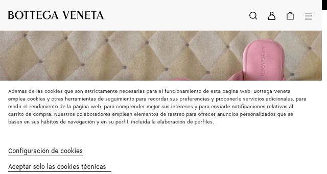Screenshot of bottegaveneta.com