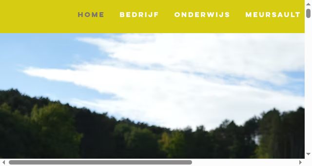 Screenshot of bourgogne.nl