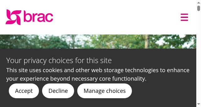 Screenshot of bracinternational.org