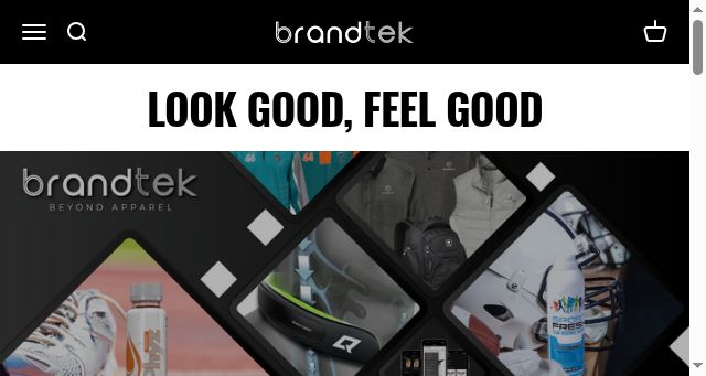 Screenshot of brandtek.com