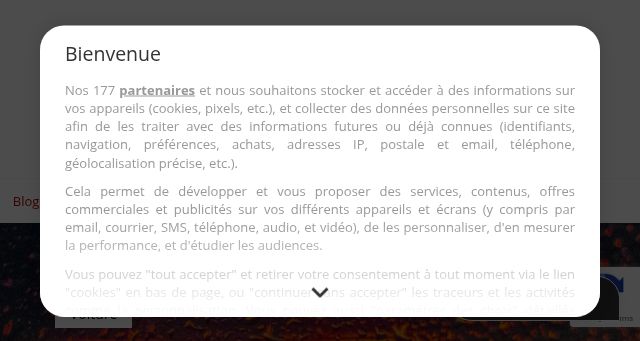 Screenshot of bretagnepolishauto.fr