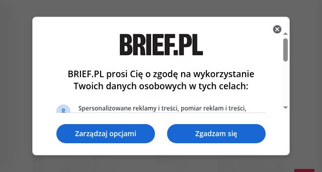 Screenshot of brief.pl