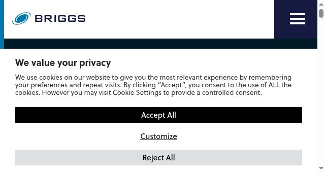 Screenshot of briggsplc.com