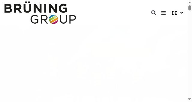 Screenshot of bruening-group.de