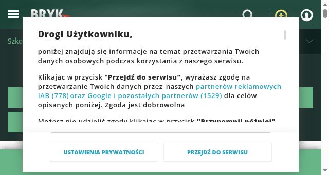 Screenshot of bryk.pl