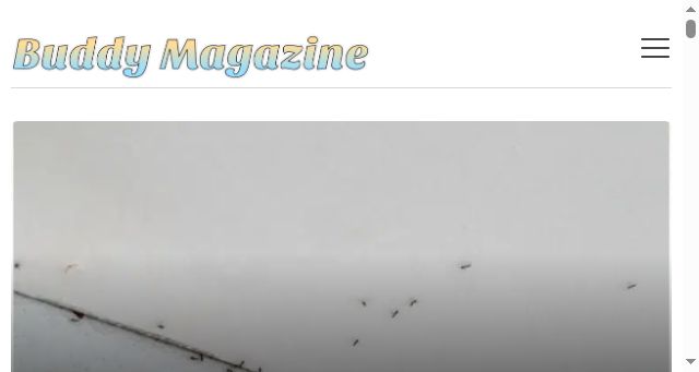 Screenshot of buddymagazine.org