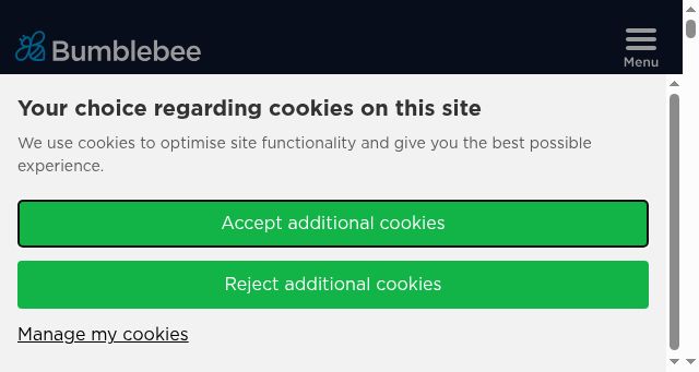 Screenshot of bumblebeeev.com