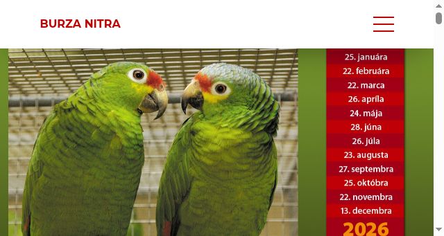 Screenshot of burzanitra.com