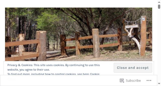 Screenshot of bushboy.blog