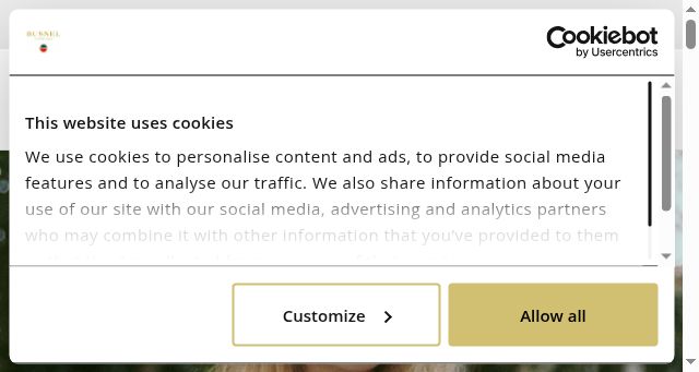 Screenshot of busnel.com