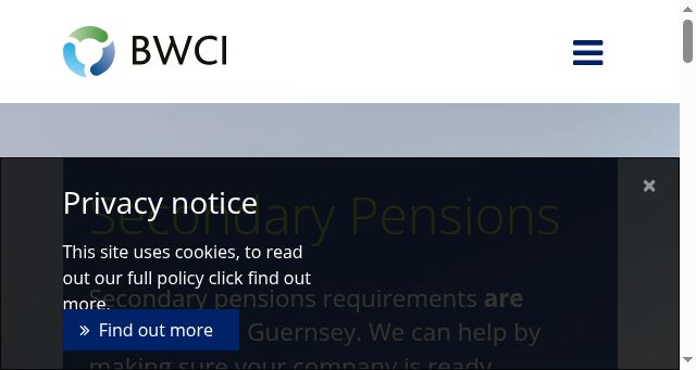 Screenshot of bwcigroup.com