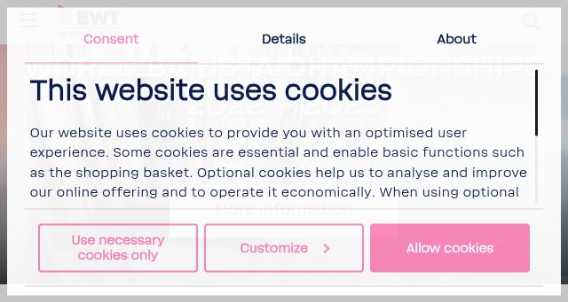 Screenshot of bwt-wam.com