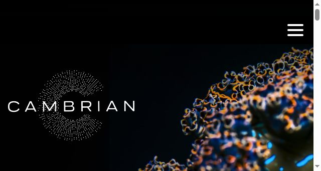 Screenshot of cambrian.be