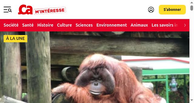 Screenshot of caminteresse.fr
